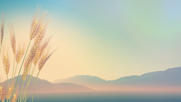 运用作比较的说明方法写一种事物